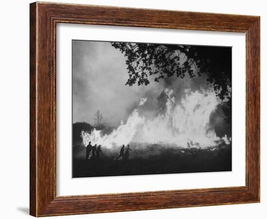 Sierra Forest Fire-Ralph Crane-Framed Photographic Print