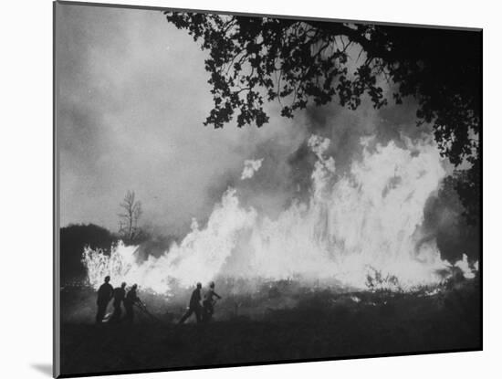 Sierra Forest Fire-Ralph Crane-Mounted Photographic Print