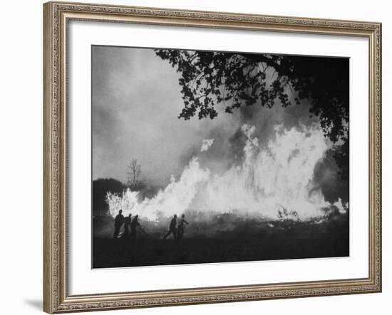 Sierra Forest Fire-Ralph Crane-Framed Photographic Print