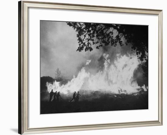 Sierra Forest Fire-Ralph Crane-Framed Photographic Print