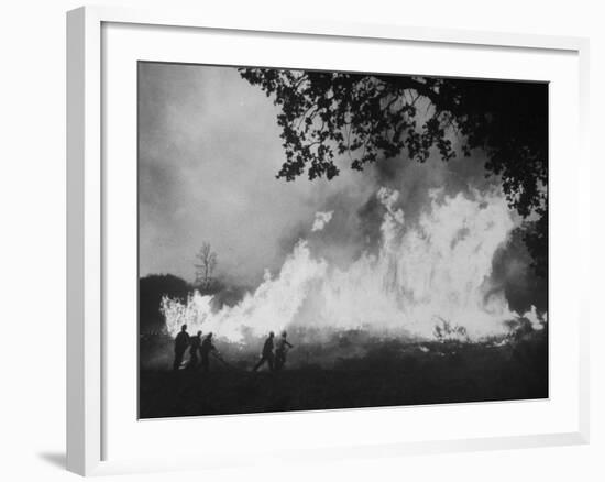 Sierra Forest Fire-Ralph Crane-Framed Photographic Print