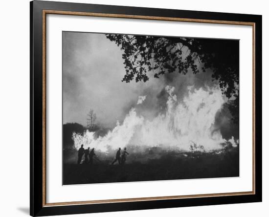 Sierra Forest Fire-Ralph Crane-Framed Photographic Print