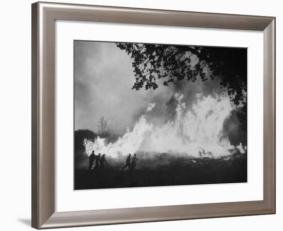 Sierra Forest Fire-Ralph Crane-Framed Photographic Print