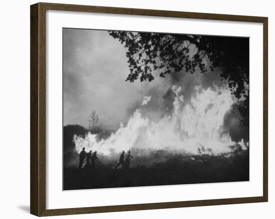 Sierra Forest Fire-Ralph Crane-Framed Photographic Print