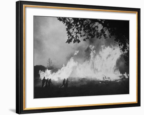 Sierra Forest Fire-Ralph Crane-Framed Photographic Print