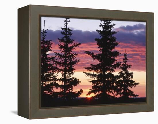 Sierra Madre Range with Spruce Tree, Medicine Bow National Forest, Wyoming, USA-Scott T. Smith-Framed Premier Image Canvas