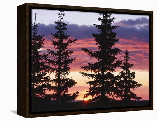 Sierra Madre Range with Spruce Tree, Medicine Bow National Forest, Wyoming, USA-Scott T. Smith-Framed Premier Image Canvas