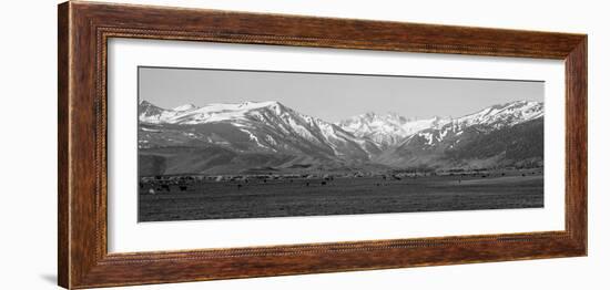 Sierra Mountains, California-null-Framed Photographic Print