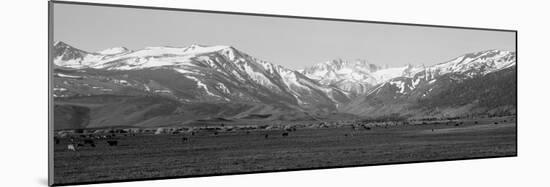 Sierra Mountains, California-null-Mounted Photographic Print
