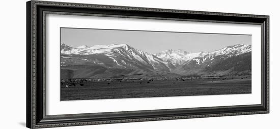 Sierra Mountains, California-null-Framed Photographic Print