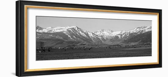 Sierra Mountains, California-null-Framed Photographic Print