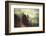 Sierra Nevada in California-Albert Bierstadt-Framed Art Print