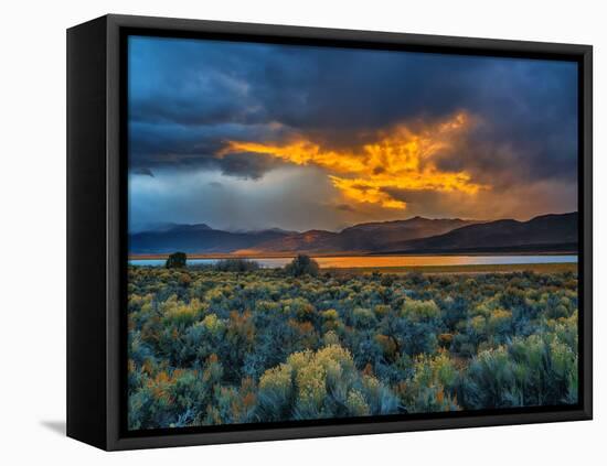 Sierra Scene-Steven Maxx-Framed Premier Image Canvas