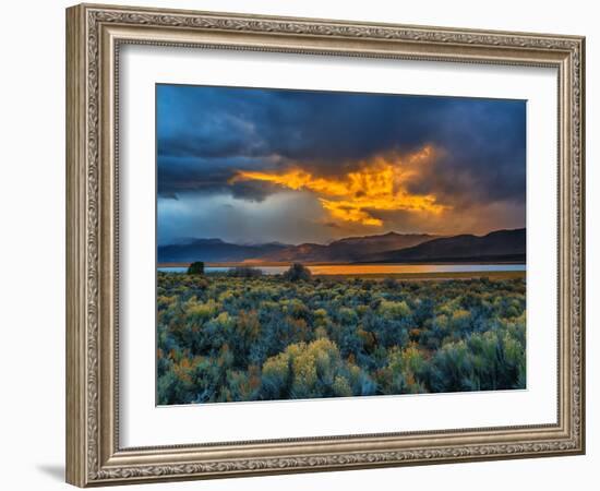 Sierra Scene-Steven Maxx-Framed Photographic Print