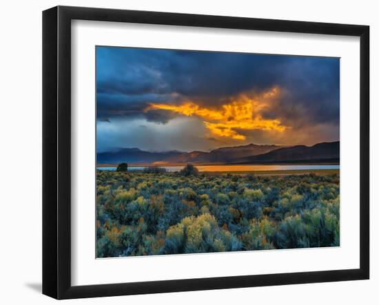 Sierra Scene-Steven Maxx-Framed Photographic Print