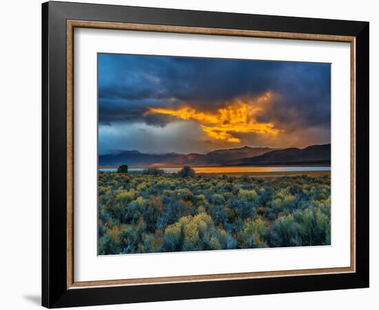 Sierra Scene-Steven Maxx-Framed Photographic Print