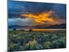 Sierra Scene-Steven Maxx-Mounted Photographic Print