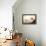 Siesta Dog-Javier Brosch-Framed Premier Image Canvas displayed on a wall