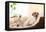 Siesta Dog-Javier Brosch-Framed Premier Image Canvas
