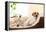 Siesta Dog-Javier Brosch-Framed Premier Image Canvas