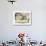 Siesta-Ernst Ludwig Kirchner-Premium Giclee Print displayed on a wall