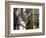 Siete Calles Area, Bilbao, Basque Country, Spain-Alan Copson-Framed Photographic Print