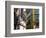 Siete Calles Area, Bilbao, Basque Country, Spain-Alan Copson-Framed Photographic Print