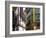 Siete Calles Area, Bilbao, Basque Country, Spain-Alan Copson-Framed Photographic Print