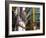 Siete Calles Area, Bilbao, Basque Country, Spain-Alan Copson-Framed Photographic Print