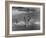 Sights of a Typical Summer at Cape Cod: Swimming in Nantucket Sound-Alfred Eisenstaedt-Framed Photographic Print