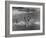 Sights of a Typical Summer at Cape Cod: Swimming in Nantucket Sound-Alfred Eisenstaedt-Framed Photographic Print