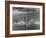 Sights of a Typical Summer at Cape Cod: Swimming in Nantucket Sound-Alfred Eisenstaedt-Framed Photographic Print