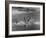 Sights of a Typical Summer at Cape Cod: Swimming in Nantucket Sound-Alfred Eisenstaedt-Framed Photographic Print