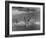 Sights of a Typical Summer at Cape Cod: Swimming in Nantucket Sound-Alfred Eisenstaedt-Framed Photographic Print