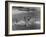 Sights of a Typical Summer at Cape Cod: Swimming in Nantucket Sound-Alfred Eisenstaedt-Framed Photographic Print