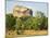 Sigiriya (Lion Rock), UNESCO World Heritage Site, Sri Lanka, Asia-Jochen Schlenker-Mounted Photographic Print