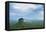 Sigiriya Rock Fortress, UNESCO World Heritage Site, Seen from Pidurangala Rock, Sri Lanka, Asia-Matthew Williams-Ellis-Framed Premier Image Canvas