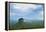 Sigiriya Rock Fortress, UNESCO World Heritage Site, Seen from Pidurangala Rock, Sri Lanka, Asia-Matthew Williams-Ellis-Framed Premier Image Canvas