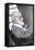 Sigmund Freud, Father of Psychoanalysis-Science Source-Framed Premier Image Canvas