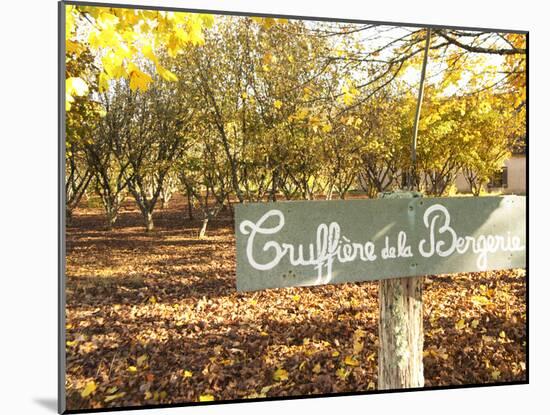 Sign at Entrance to Truffiere De La Bergerie (Truffiere) Truffles Farm, Ste Foy De Longas, Dordogne-Per Karlsson-Mounted Photographic Print