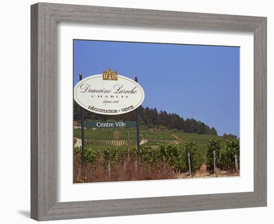 Sign for Domaine Laroche and the Les Clos Grand Cru Vineyard, Chablis, France-Per Karlsson-Framed Photographic Print