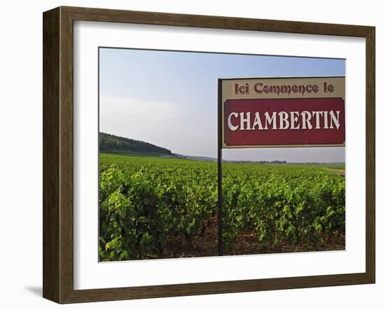 Sign Ici Commence Le Chambertin, Grand Cru Vineyard, Bourgogne, France-Per Karlsson-Framed Photographic Print