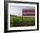 Sign Ici Commence Le Chambertin, Grand Cru Vineyard, Bourgogne, France-Per Karlsson-Framed Photographic Print