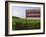 Sign Ici Commence Le Chambertin, Grand Cru Vineyard, Bourgogne, France-Per Karlsson-Framed Photographic Print