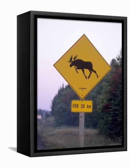 Sign, Moose Crossing the Road, Algonquin Provincial Park, Ontario, Canada-Thorsten Milse-Framed Premier Image Canvas