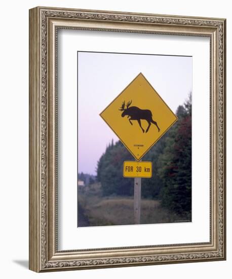 Sign, Moose Crossing the Road, Algonquin Provincial Park, Ontario, Canada-Thorsten Milse-Framed Photographic Print