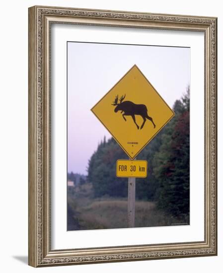 Sign, Moose Crossing the Road, Algonquin Provincial Park, Ontario, Canada-Thorsten Milse-Framed Photographic Print