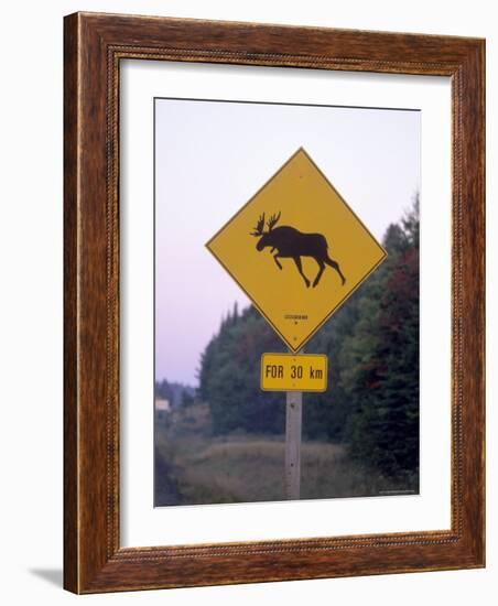 Sign, Moose Crossing the Road, Algonquin Provincial Park, Ontario, Canada-Thorsten Milse-Framed Photographic Print