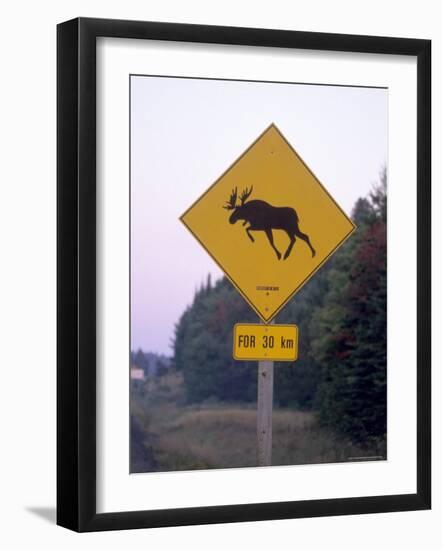 Sign, Moose Crossing the Road, Algonquin Provincial Park, Ontario, Canada-Thorsten Milse-Framed Photographic Print