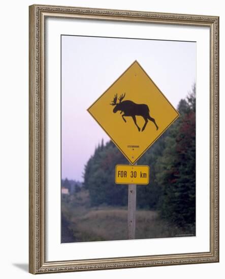 Sign, Moose Crossing the Road, Algonquin Provincial Park, Ontario, Canada-Thorsten Milse-Framed Photographic Print